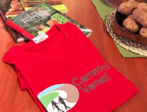 Lungo il Cammino Fogazzaro Roi